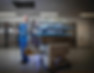 Royal Hobart Hospital Robot.jpeg