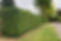 greenwells-tree-surgeons-oxted-westerham