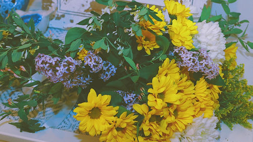 21CA248B-9AA1-4F49-BFB4-241FD97EF477_edited.jpg
