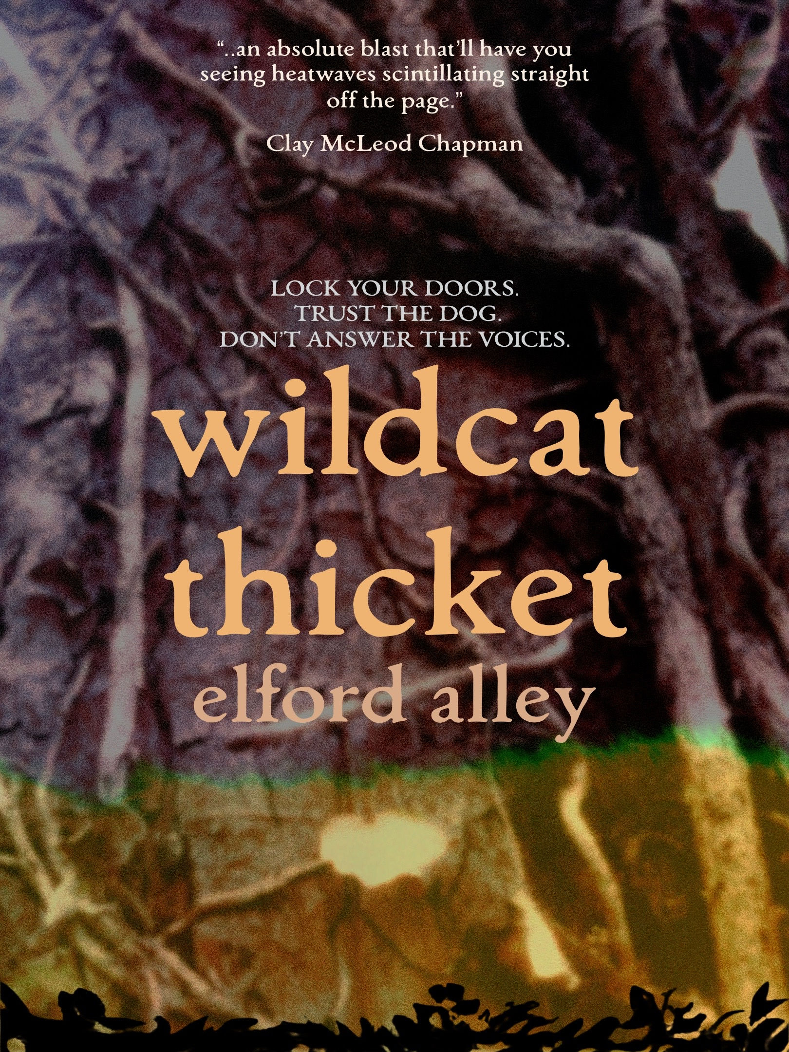 WILDCAT THICKET ELFORD ALLEY