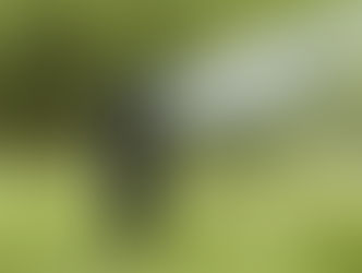 How to get a water well in Duxbury Massachusetts