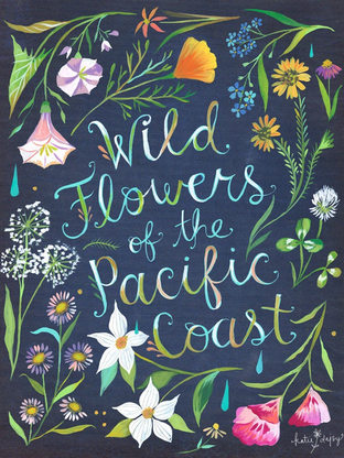 Katie Daisy | Illustrator & Wildflower