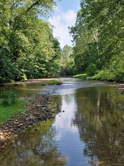 Pristine Rivers