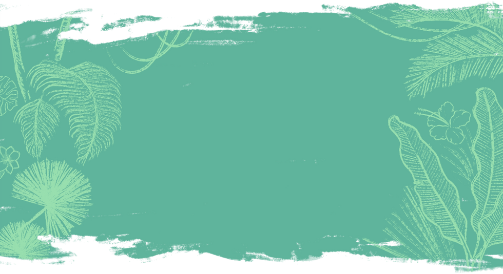 Tropical Background_edited_edited.png