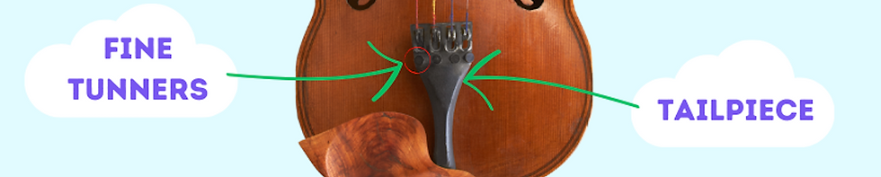 the finetuners and taipiece of a violin chart