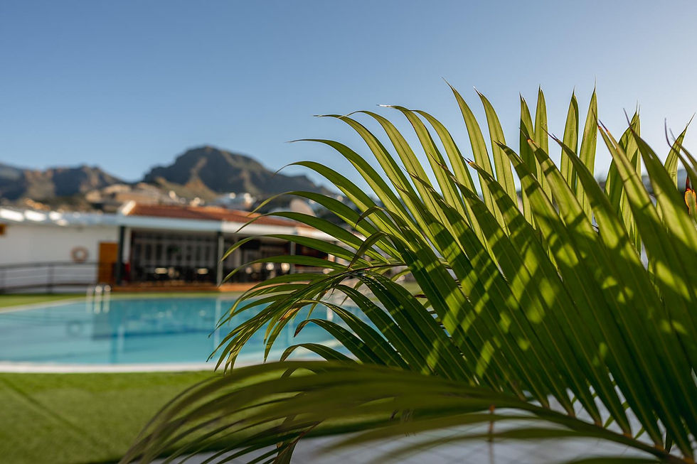 WhatsApp Image 2024-01-25 at 1.26.37 PM.jpeg