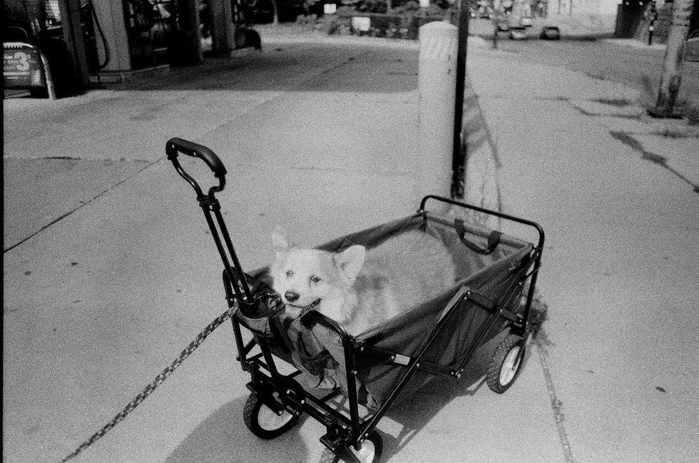 0FA52312-C903-4C8F-9DC6-0B6CF152AD36