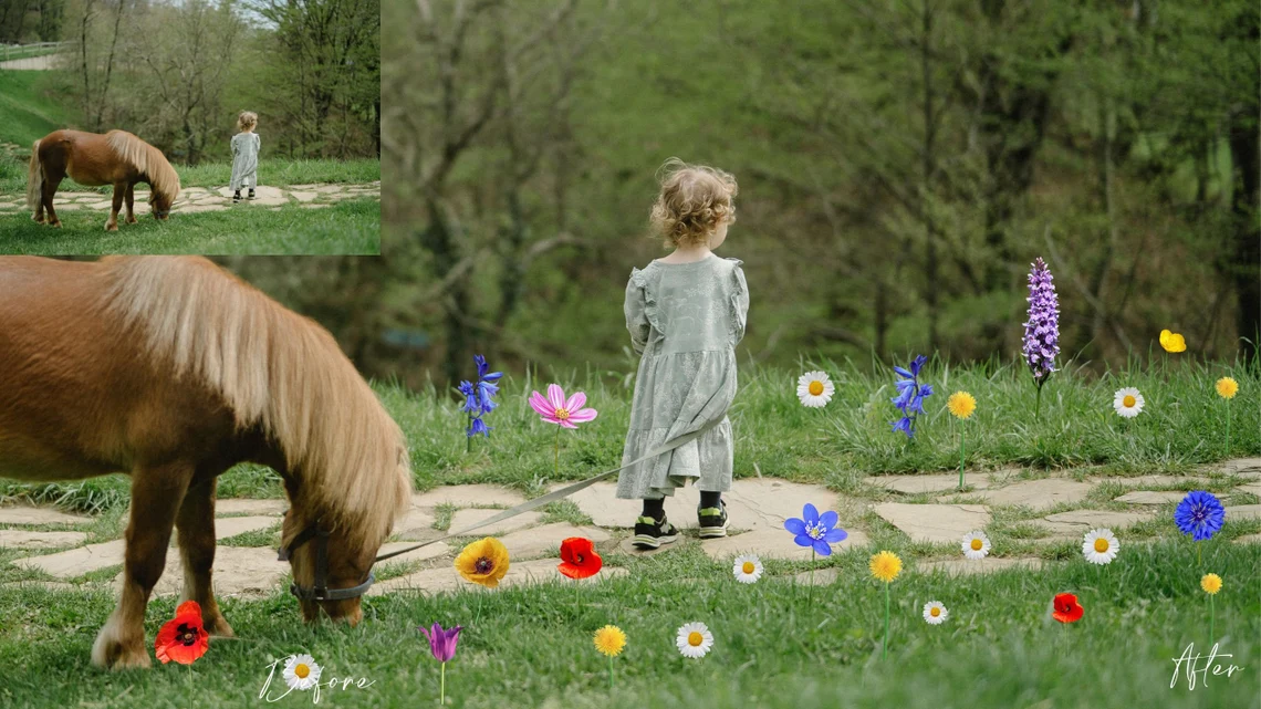 Wildflower Overlays Prestige Photography