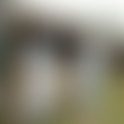 First Human Case of H5N5 Bird Flu Sparks Global Health Concerns