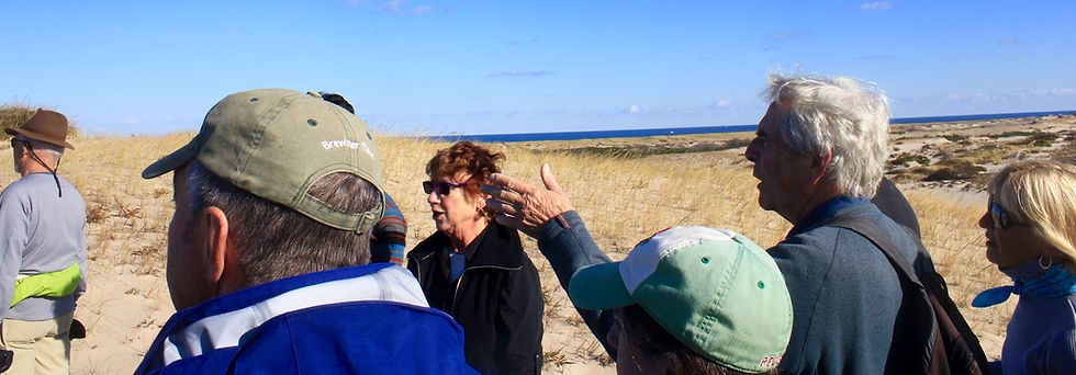 Mark McGrath and Eastham Hiking Club participants take in the view of the Provincetown dunes during a "Beeches and Berries" hike in Provincetown during November 2015.