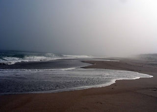 Coast Guard Beach