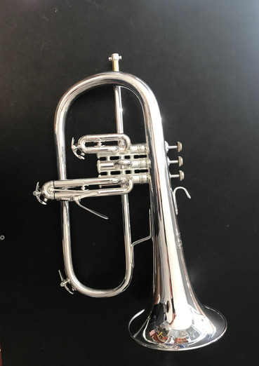 Bach flugal horn just got silver plated and looks brand new.