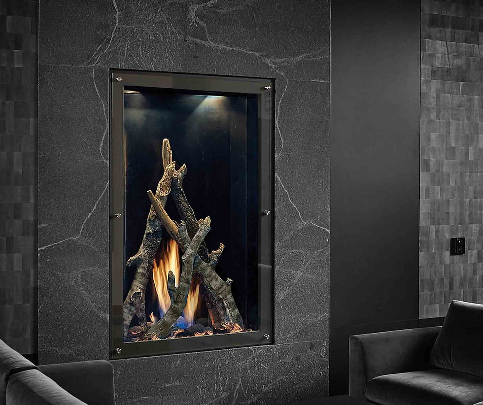 Gas Fireplaces Hot Spot Fireplace and BBQ Shop