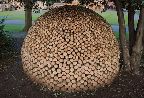 WoodPile.jpeg