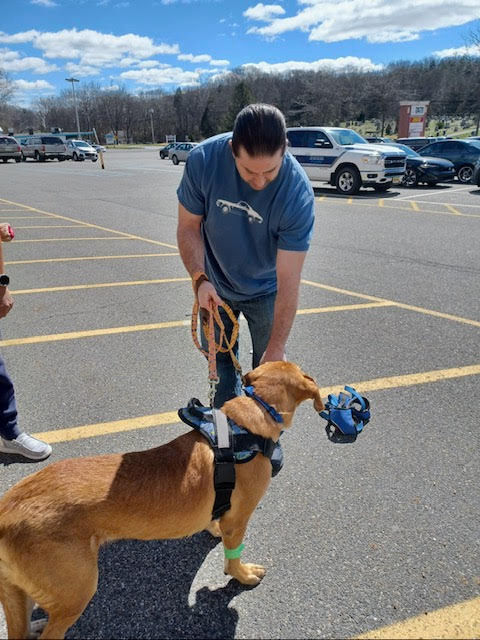 Adoption event 4/11/2026