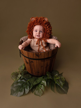 lion baby photoshoot