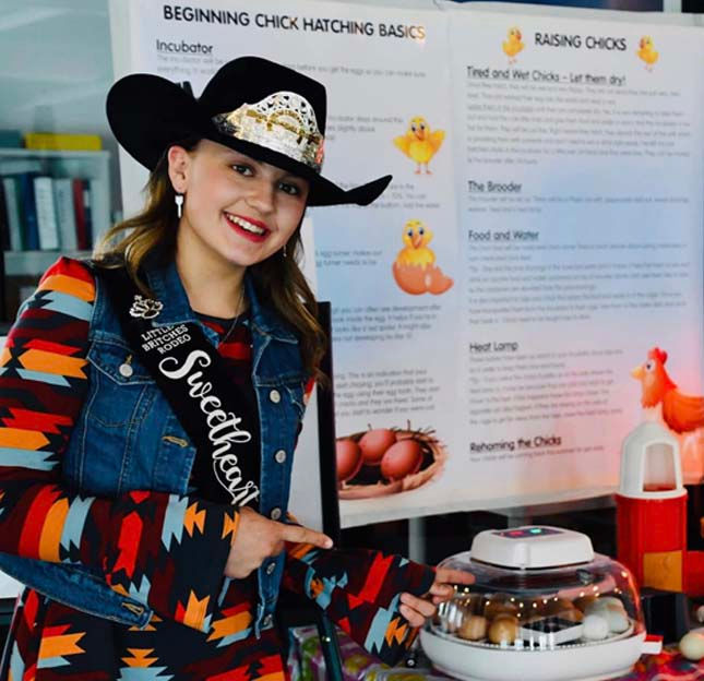 Farm Friends Chick & Duck Hatching Program