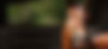 09_header_horse.jpg