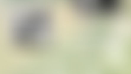 Aikido of Central New York's Seminar April 20th, 2024