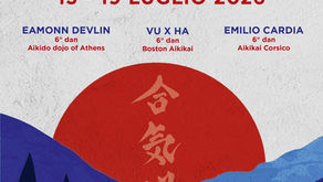 Aikido Carisolo's Seminar