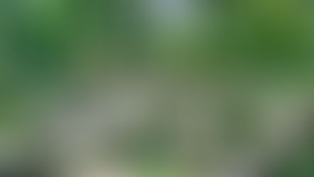 2022 Kagamibiraki Promotions