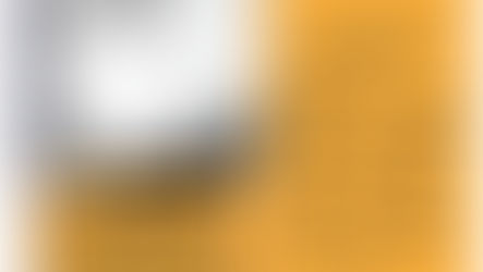 Knoxville Aikikai's Seminar