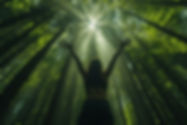 silhouetted-woman-with-arms-raised-surrounded-by-towering-trees-lush.jpg