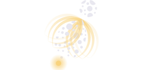 luciole-01.png