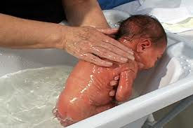 Miniatura: Cuidados com o Bebê (0 a 3 meses) - para profissionais