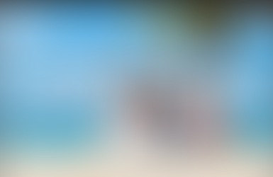 537 - Are you going on vacation?