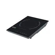 induction burner.webp