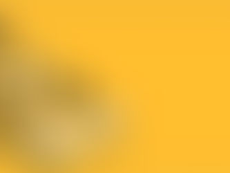 More Than Just Delivery: The Precision of One Kind Express's White-Glove Final-Mile Service