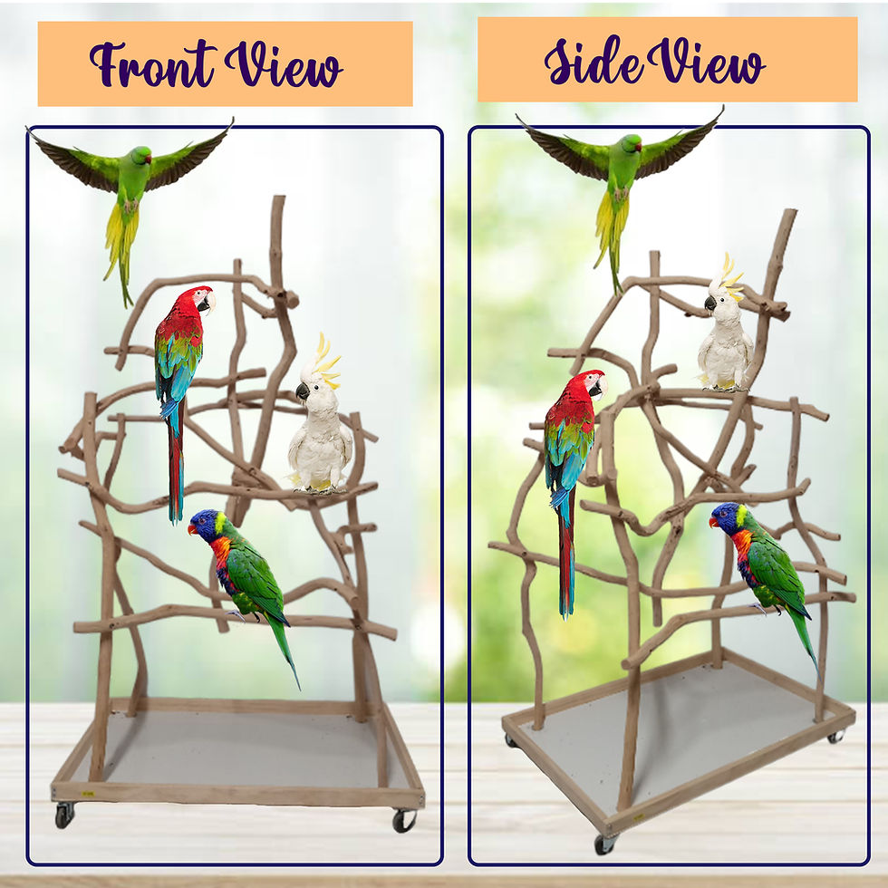 Thumbnail: Small Bird Stand