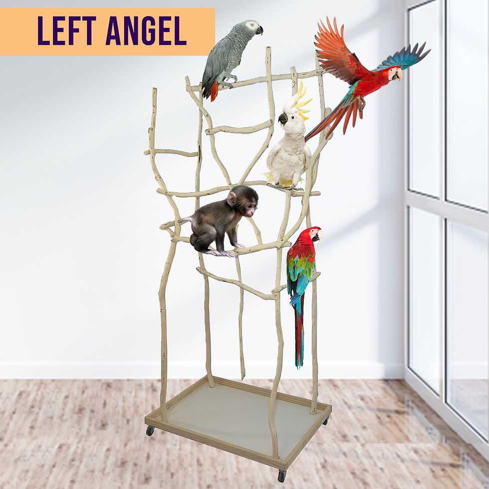 Thumbnail: Medium Bird Stand