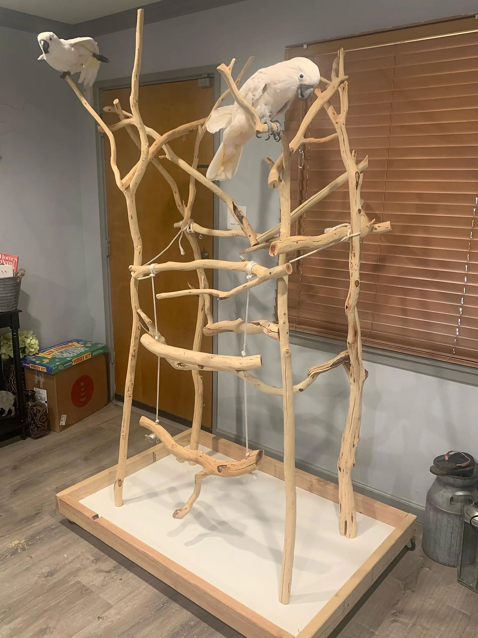 Thumbnail: Large Parrot Structure