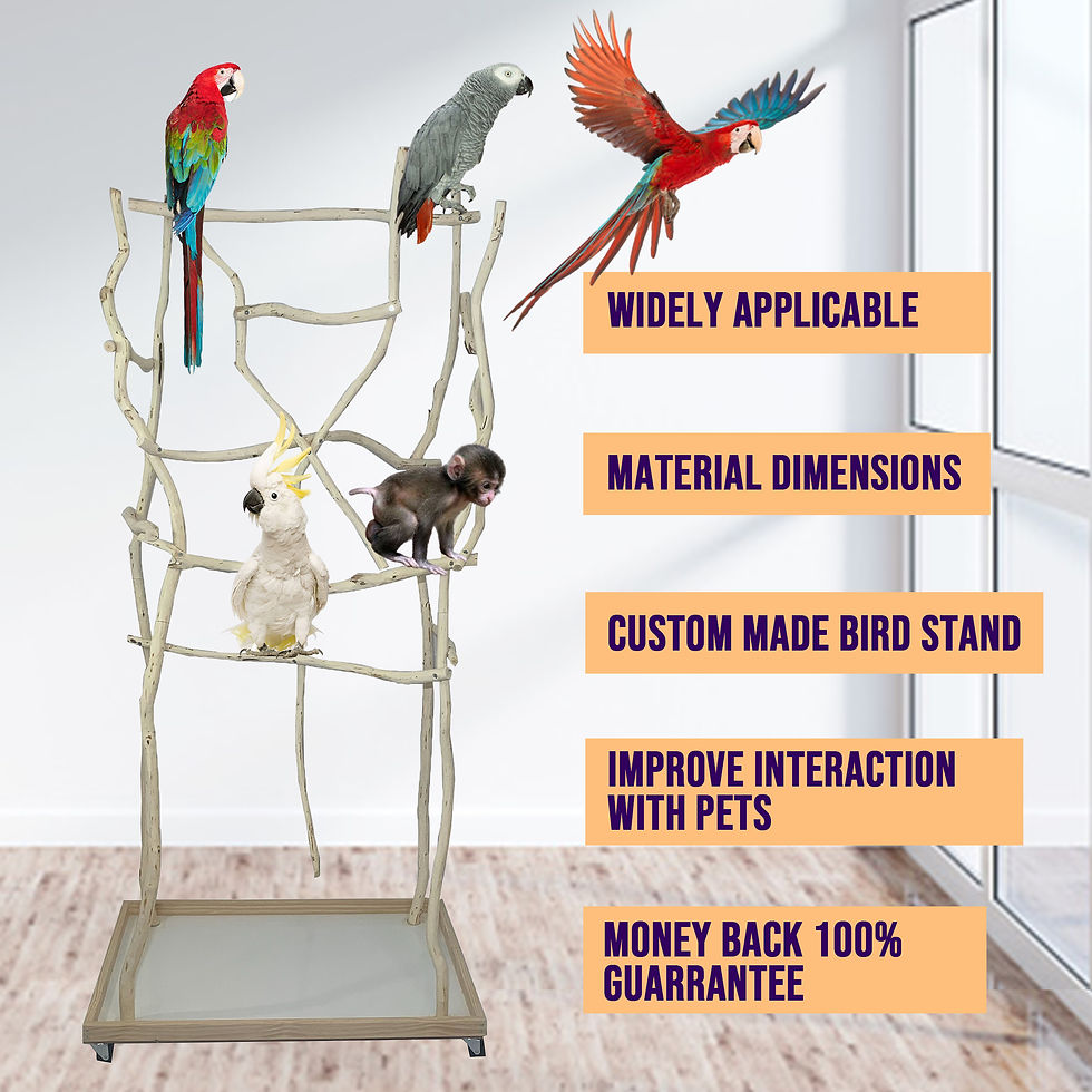 Thumbnail: Medium Bird Stand
