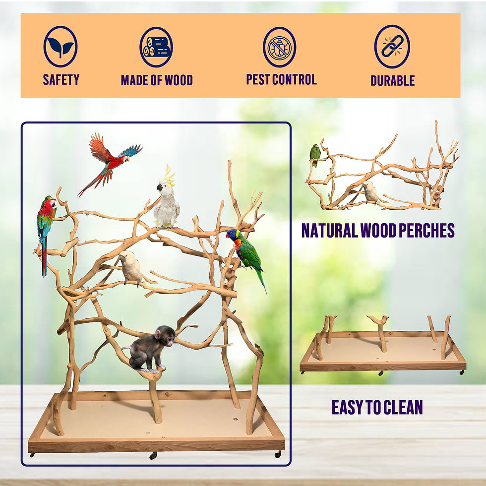 Thumbnail: XL Bird Stand