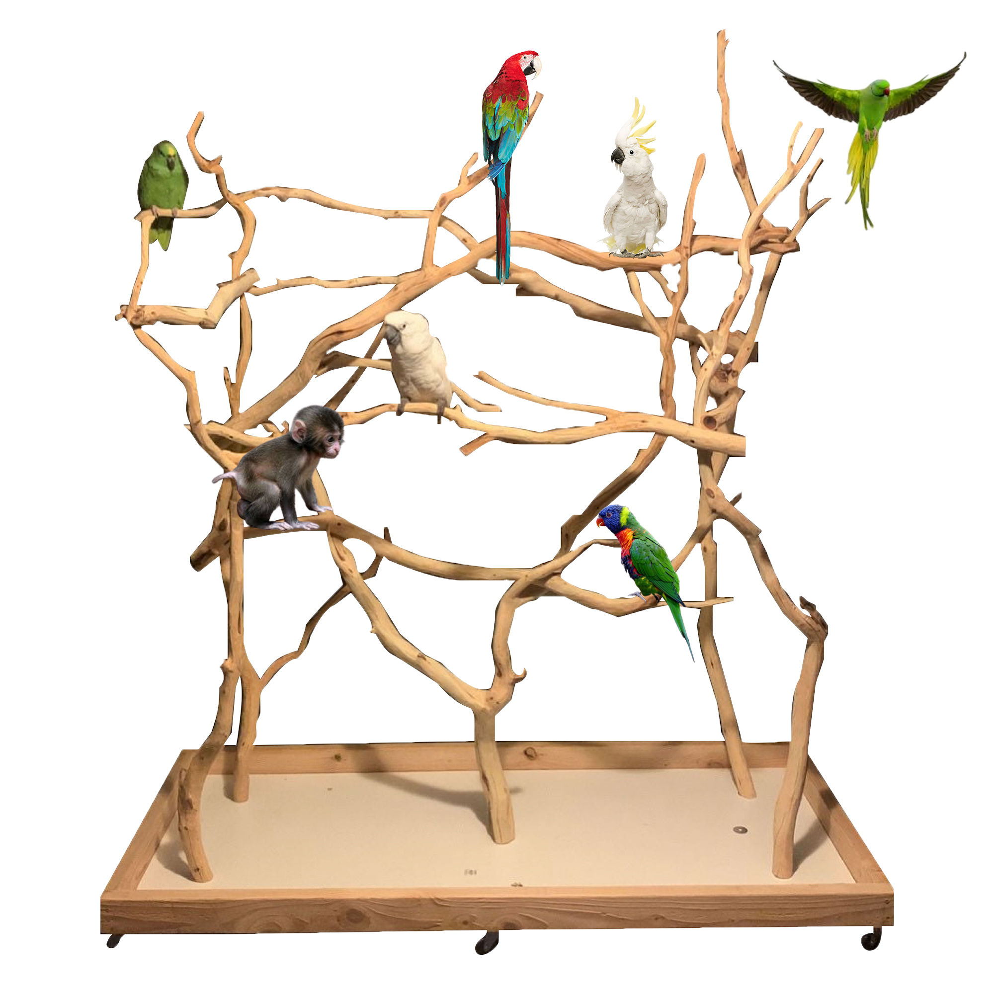 XL Bird Stand