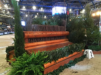 IMG_2507.JPG
