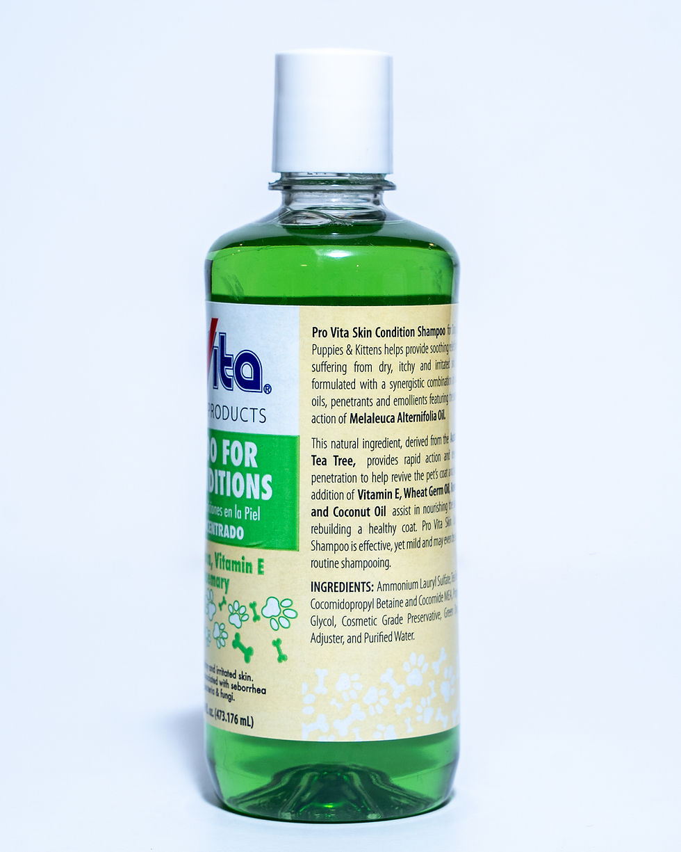 Thumbnail: PROVITA SHAMPOO FOR SKIN CONDITION
