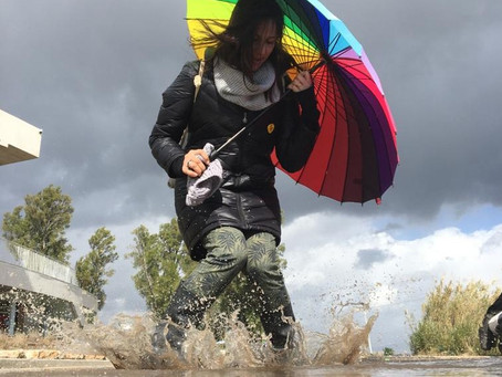 חלון לרוח - מתחת לאף