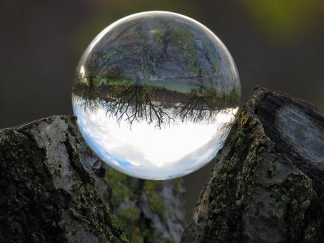 קול העולם - ויקטוריה חנה