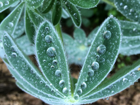 עשיתי הכי טוב שאפשר
