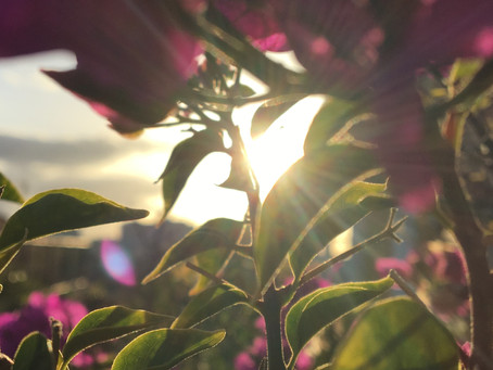 מיכל בר און מתגלה בפניי