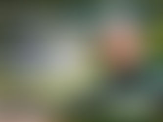 Bist du mit deiner Bewässerungsanlage nicht zufrieden?Werden einige Bereiche nicht ausreichend bewässert?Sind die Regner nicht mehr sichtbar?