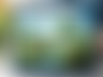 10 Gartentipps für Dezember