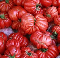 16 Tomaten-Hacks für eine Ernte, mit der du angeben kannst.