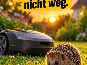 Er hört ihn kommen. Aber er läuft nicht weg.