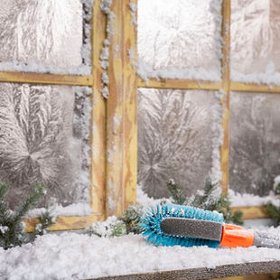 Februar ist so ein klassischer „Vorbereitungs- und Frühstarter-Monat“ im Garten 🌱Vieles läuft noch entspannt, aber ein paar Dinge lohnen sich jetzt richtig: