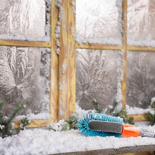 Februar ist so ein klassischer „Vorbereitungs- und Frühstarter-Monat“ im Garten 🌱Vieles läuft noch entspannt, aber ein paar Dinge lohnen sich jetzt richtig: